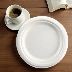 Biodegradable 7" Round Plate 1000/Cs