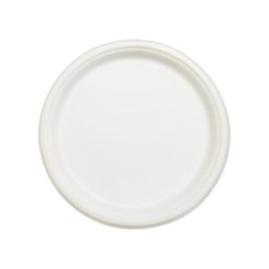 Biodegradable 12" Round Plates 500/Cs