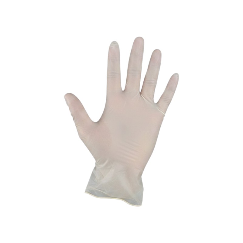 VINYL CLEAR X-LARGE GLOVES 1000/CS